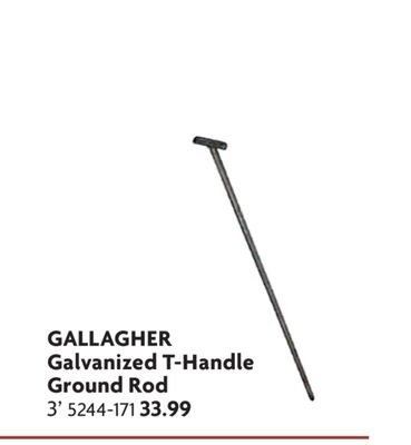 Galvanized T-Handle Ground Rod