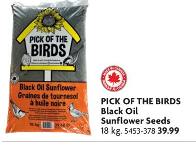 Black Oil Sunflower Seeds