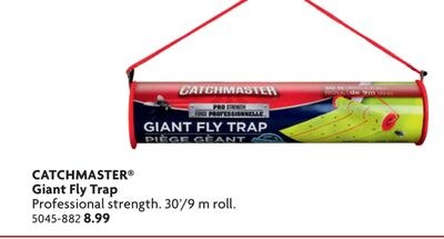 Giant Fly Trap