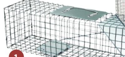 Live Animal Trap