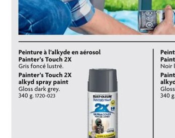 Rust-Oleum Painter's Touch 2X Spray Paint - Glo…