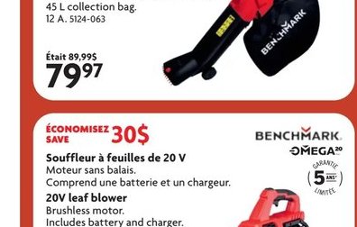 BENCHMARK Souffleur à feuilles de 20 V Leaf blo…
