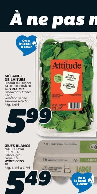 Mélange de laitues Attitude