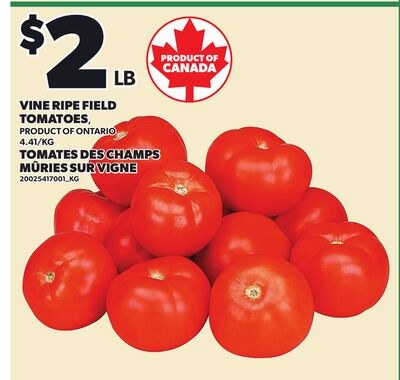 VINE RIPE FIELD TOMATOES