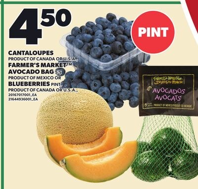 CANTALOUPES, FARMER'S MARKET™ AVOCADO BAG, 5'S …