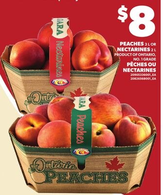 PEACHES, 3 L OR NECTARINES, 2 L