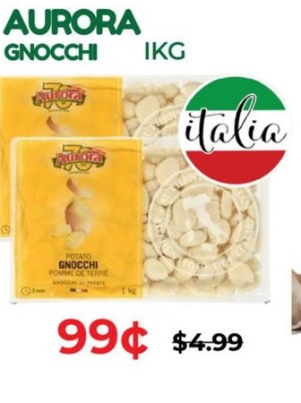 Aurora Gnocchi