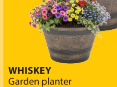 WHISKEY Garden planter
