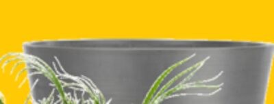 HVEPS Garden planter, plastic