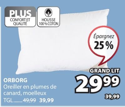 ORBORG Oreiller en plumes de canard