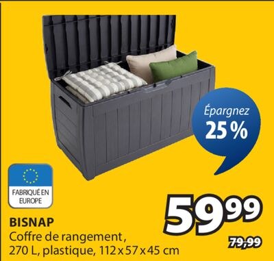 BISNAP Coffre de rangement