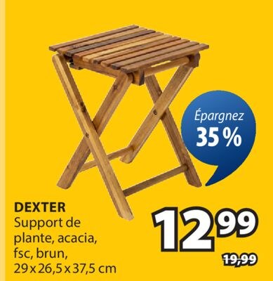 DEXTER Support de plante