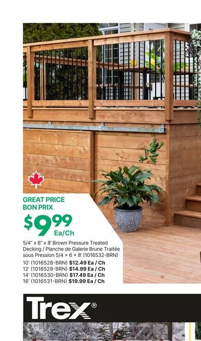 Trex Basics 12' x 8' Brown Pressure Treated Dec…