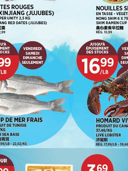 LOUP DE MER FRAIS