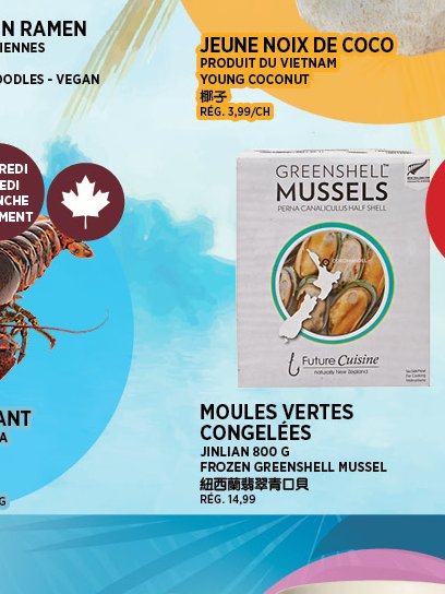 HOMARD VIVANT