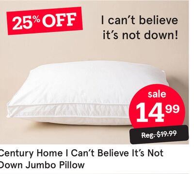 Century Home I Can't Believe It's Not Down Jumb…
