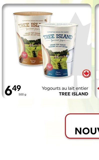 Yogourts au lait entier TREE ISLAND