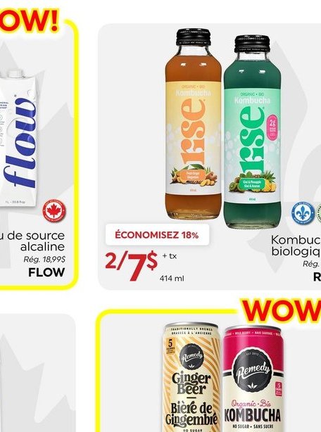 RISE Kombucha biologique