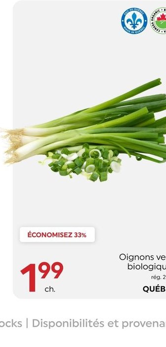 Oignons verts biologiques