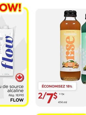 RISE Kombucha biologique
