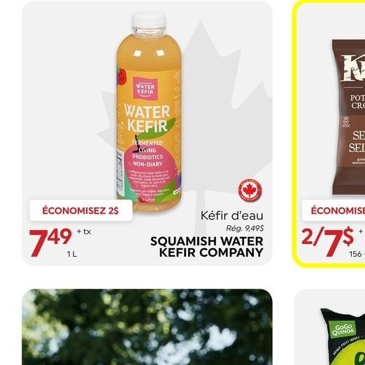 Kéfir d'eau SQUAMISH WATER KEFIR COMPANY