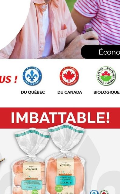 Pains à hot-dog ou hamburger Kamut biologiques …