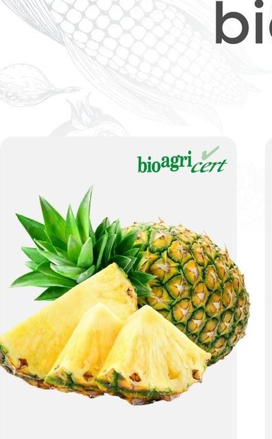 Ananas biologique