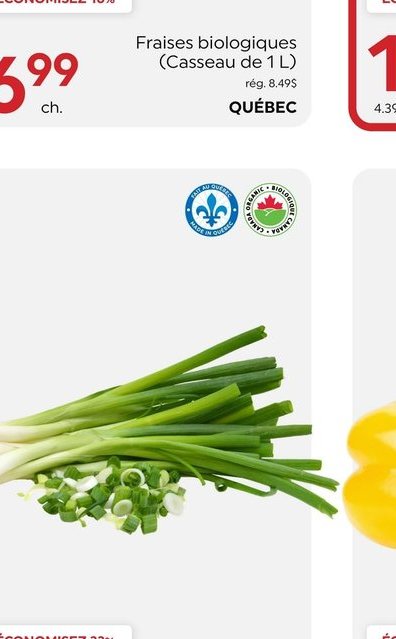 Oignons verts biologiques