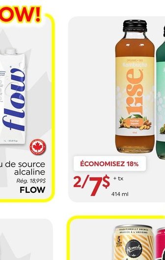 RISE Kombucha biologique