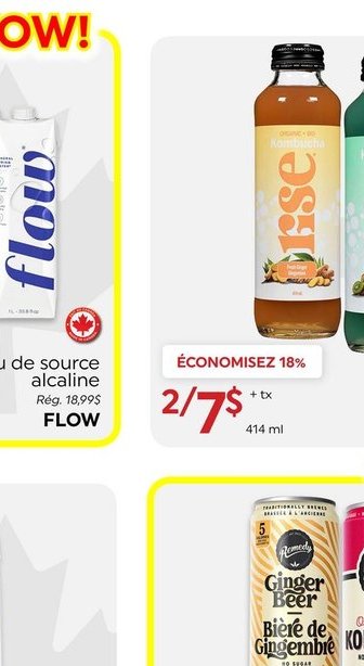Rise Kombucha biologique
