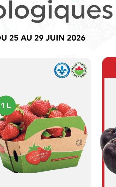 Fraises biologiques