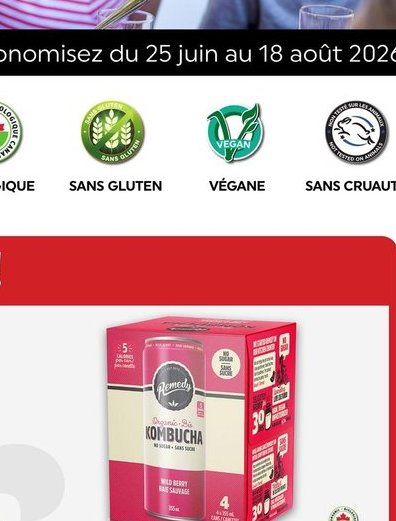 Kombucha ou bière de gingembre biologique