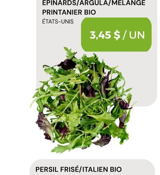 Barquette Épinards/Roqula/Mélange Printanier Bio