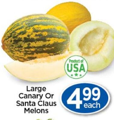 Large Canary Or Santa Claus Melons