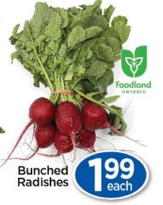 Bunched Radishes