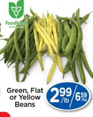 Green, Flat or Yellow Beans
