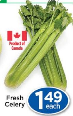 Fresh Celery