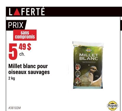 Millet blanc pour oiseaux sauvages