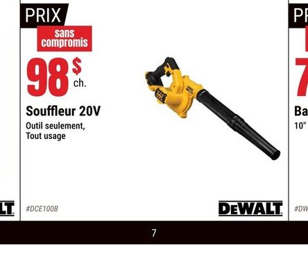 DeWALT Souffleur 20V