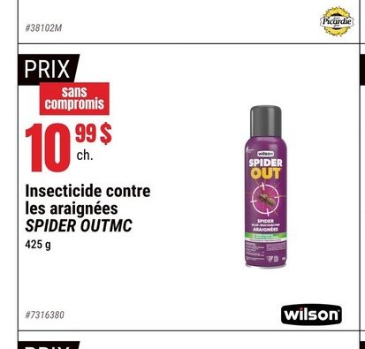 Insecticide contre les araignées SPIDER OUTMC