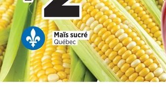 Maïs sucré Québec