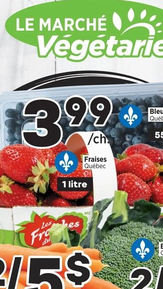 Bleuets sauvages Québec
