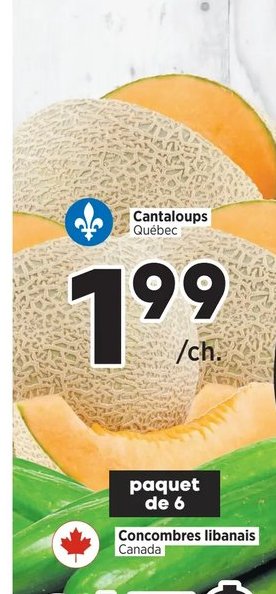 Cantaloup Québec