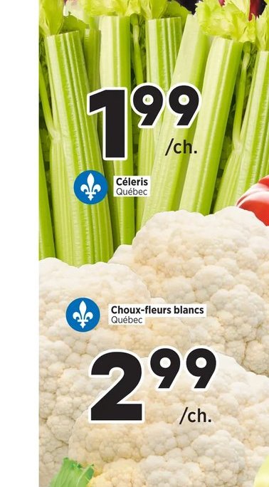 Céleri Québec