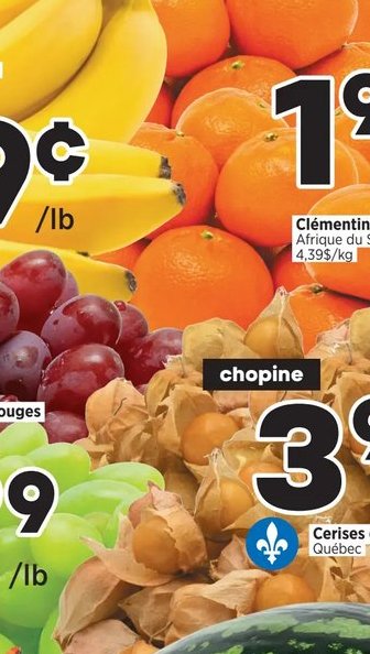 Clémentines Afrique du Sud
