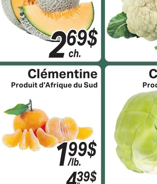 Cantaloupe