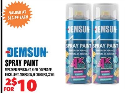 DEMSUN SPRAY PAINT