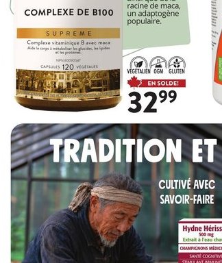 Hydne Hérisson New Roots Herbal
