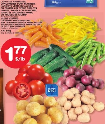 NANTES CARROTS, CUCUMBERS FOR MARINATING, WAX O…