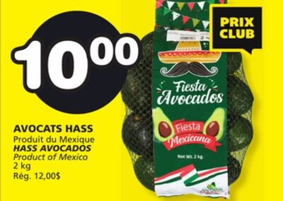 HASS AVOCADOS